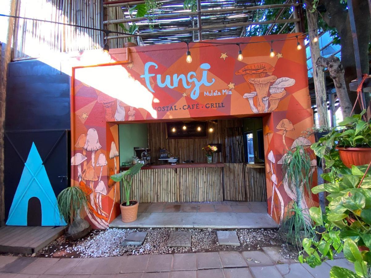 Fungi Tipis Ξενοδοχείο Tepoztlan Εξωτερικό φωτογραφία